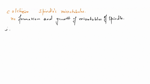 069-the-drup-colchicine-would-prevents-the-spindle-microtubules-from-forming-happen-in-mitosis-cell-that-wjs-growing-what-diven-colchicine-throughout-mitosis-the-chromosomes-woul-no-cordense-16824