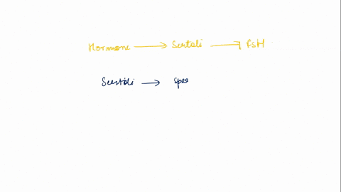 which-hormone-released-from-the-sertoli-cells-that-inhibits-the-release-of-folliclestimulating-hormone-fsh-49298