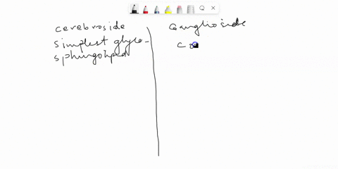 whats-the-difference-of-cerebrosides-and-gangliosides-and-what-are-their-function-57351