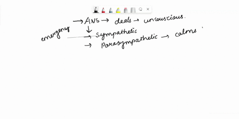 which-of-the-following-is-true-regarding-the-autonomic-nervous-system-group-of-answer-choices-the-oculomotor-nerve-carries-the-fibers-that-cause-the-lens-to-flatten-out-both-divisions-are-no-68448