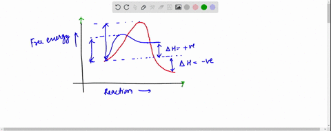 which-curve-represents-the-spontaneous-reaction-and-which-the-nonspontaneous-77344