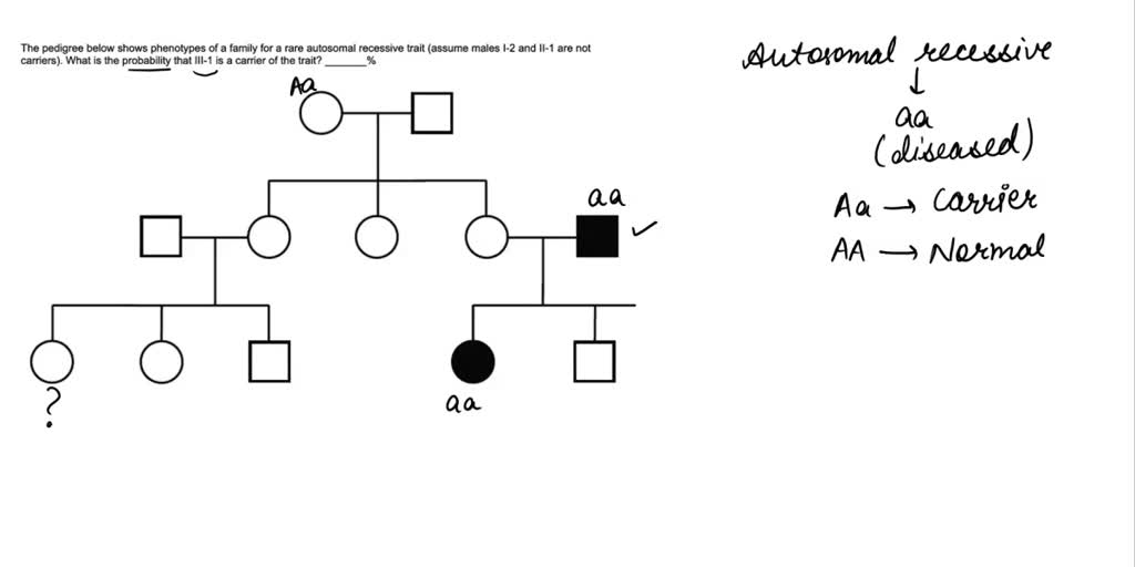 SOLVED: The pedigree illustrates a rare recessive trait controlled by a ...