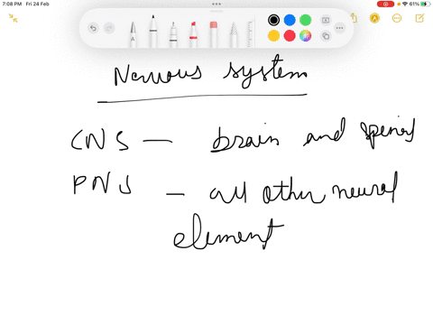 nervous-system-answer-them-all-with-just-few-words-no-need-for-details-and-i-will-rate-you-1-what-role-do-basal-nuclei-play-in-the-regulation-of-muscle-tone-in-parkinsons-disease-neurons-inv-75716