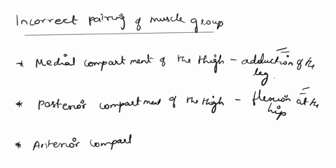 kindly-answer-all-the-questions-if-you-cant-please-do-not-answer-thank-you-in-advance-question-16-2-pts-which-of-the-following-pairings-of-muscle-groups-and-actions-is-incorrect-o-anterior-c-55943