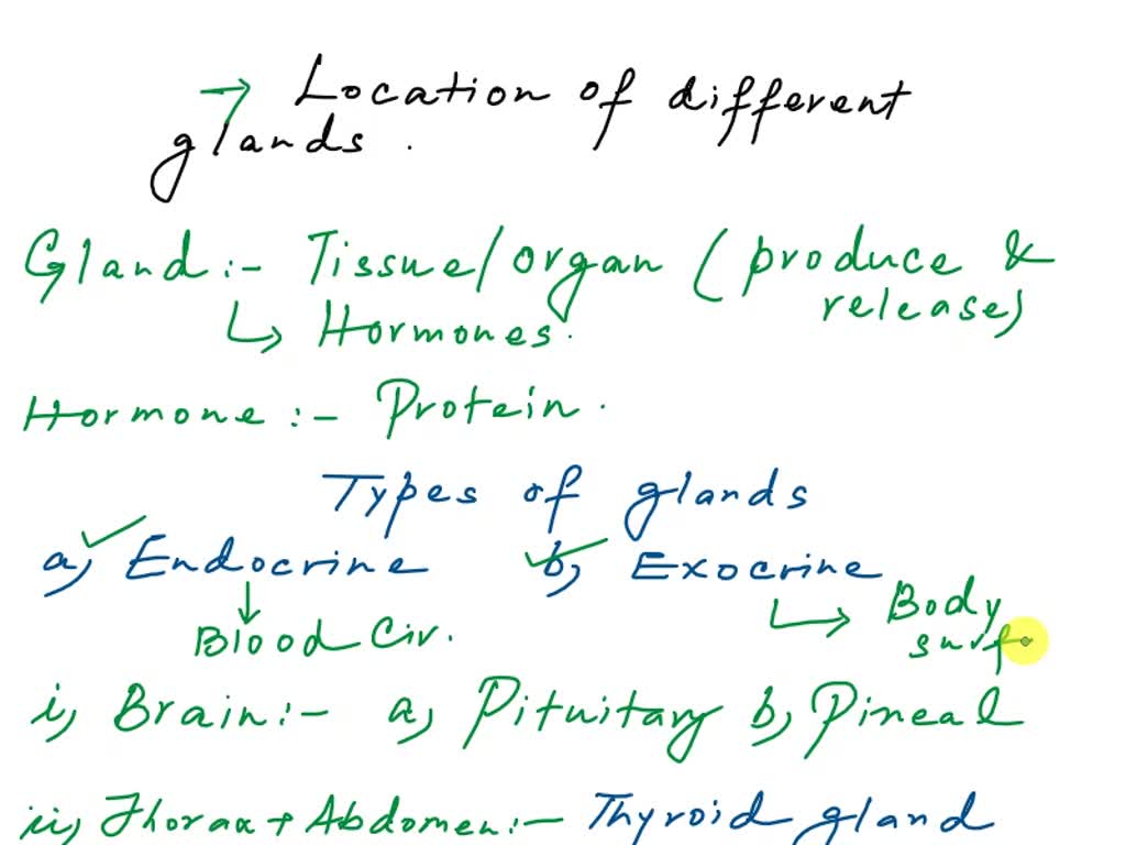 Solved Ch Hw Blood Art Labeling Activity Overview Of The