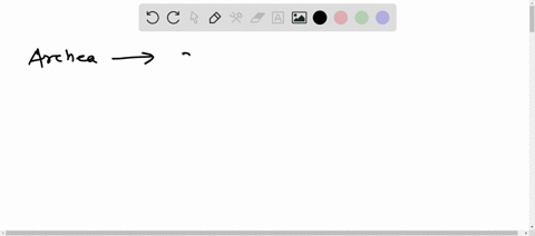 why-are-archaea-considered-a-monophyletic-group-according-to-the-three-domain-hypothesis-43573