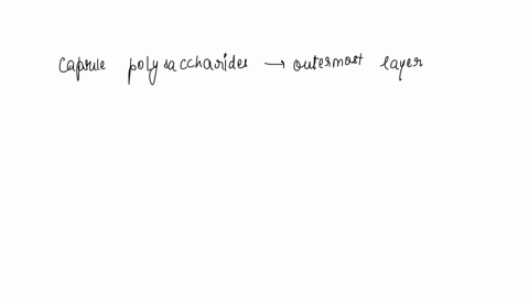 many-human-pathogens-will-lose-their-ability-to-cause-infections-if-they-acquire-a-mutation-in-the-gene-encoding-the-enzymes-that-synthesize-the-capsule-polysaccharides-explain-why-a-mutatio-59882