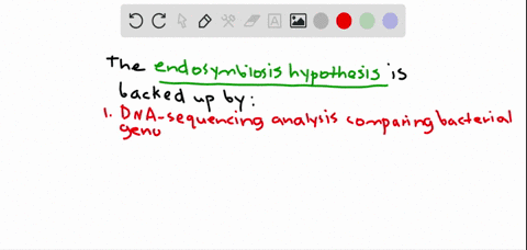 explain-the-endosymbiosis-hypothesis-for-the-origins-of-mitochondria-and-chloroplasts-in-eukaryotic-cells_-give-two-pieces-of-evidence-that-support-this-hypothesis-8-pts-chloroplasts-he-geen-81091