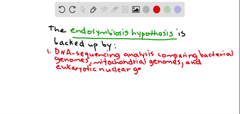 which statement correctly describes the hypothesis of endosymbiosis