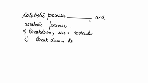 catabolic-processes-___-and-anabolic-processes-___-a-break-down-organic-molecules-to-release-energy-use-energy-to-build-molecules-b-use-energy-to-build-molecules-break-down-organic-molecules-79666