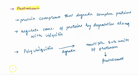 9-which-of-the-following-is-a-false-statement-about-the-proteasome-ait-is-triggered-to-act-by-addition-of-a-ubiquitin-to-a-protein-bsince-degradation-happens-within-the-proteasome-general-pr-56982