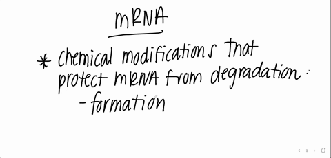 what-chemical-modifications-protect-against-mrna-degradation-capping-at-the-5-end-and-polyadenylation-at-the-3-end-capping-at-the-3-end-and-polyadenylation-at-the-5-end-formation-of-a-pre-in-75905