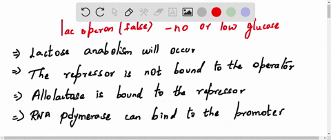 with-regard-to-the-lac-operon-which-of-the-following-selected-false-under-conditions-of-low-or-no-answer-rna-polymerase-can-bind-to-the-glucose-promoter-answers-lactose-anabolism-wlll-accur-11856