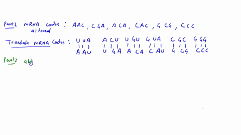 point-mutations-dna-ccc-mrna-ggg-amino-acid-sequence-gly-aat-tga-aca-cat-gcg-uuaacu-ugu-gua-cgc_-leu-thr-cys-val-arg-change-the-3r-base-on-dna-from-t-to-write-down-the-altered-mrna-eodon-tra-97692