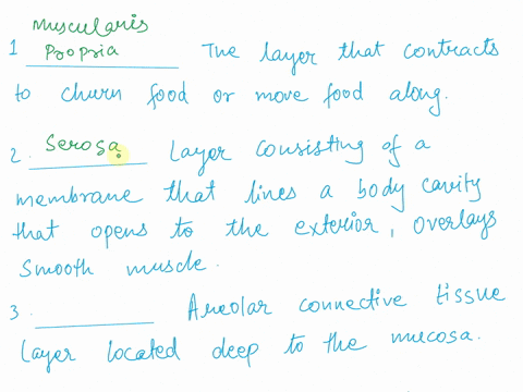 name-the-layers-of-the-gi-tract-that-are-described-______________________-1-the-layer-that-contracts-to-churn-food-or-move-food-along-______________________-2-layer-consisting-of-a-membrane-05576
