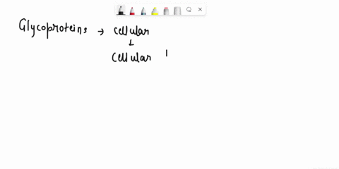 question-18-mutatian-prevent-elycoproteins-from-kettuns-udded-keen-rbosomne-production-creatlon-cell-cell-recognition-cycling-ol-phospholipids-the-pusm-membrane-celtular-rranspont-ncoreing-w-23978