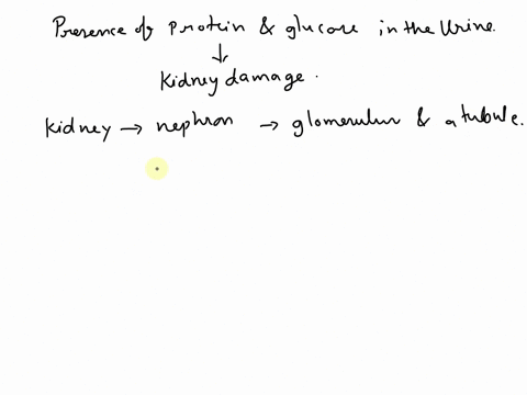 why-do-you-think-protein-and-glucose-in-the-urine-are-signs-of-kidney-damage-54823
