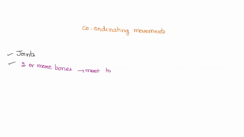 discuss-the-major-functional-units-which-allow-for-the-coordination-of-movement-as-it-relates-to-the-dynamical-systems-approach-of-movement-analysis-also-discuss-the-concept-of-variability-a-00848