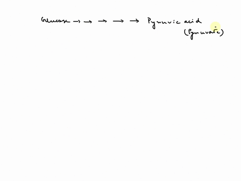 during-the-process-of-glycolysis-what-happens-to-glucose-where-in-a-cell-does-this-process-take-place-is-this-process-aerobic-or-anaerobic-how-many-pyruvic-acids-are-produce-how-many-net-atp-48828