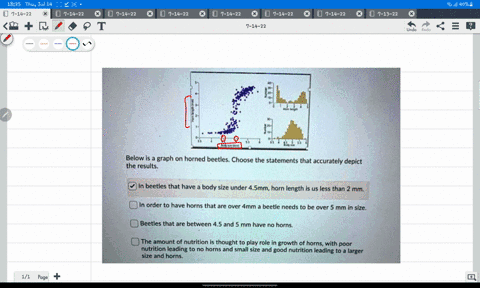 below-is-a-graph-on-horned-beetles-choose-the-statements-that-accurately-depict-the-results-in-beetles-that-have-a-body-size-under-4smm-horn-length-is-us-less-than-2-mm-in-order-to-have-horn-66501