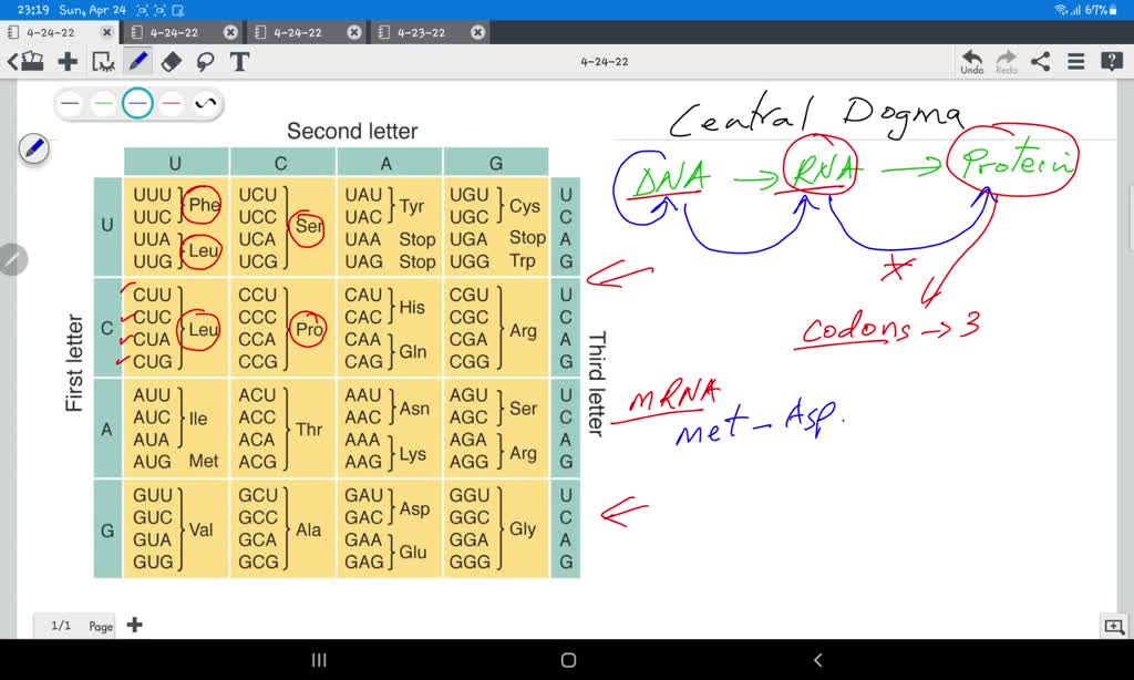 SOLVED Suppose you wanted to make a protein that consists of the amino acid sequence methionine