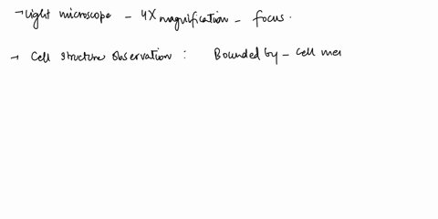 predict-the-microscopic-appearance-of-microbial-cells-after-48h-growth-in-blood-agar-media-9-10-you-have-unknown-microscopic-slide-how-would-you-determine-the-position-of-the-nucleus-explain-95486