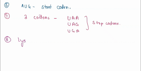 anie-uuu-uuc-uua-iuuo-ucu-ucc-uca-uco-uau-ucu-gye-uac-uoc-vaa-mop-vaa-vao-sla-uo-cuu-cuc-cua-cuo-ccu-cau-cou-cac-cac-caa-coa-oln-cao-coo-ccc-cca-cco-auu-auc-aua-auo-acu-acc-aca-aco-aau-aou-a-53849