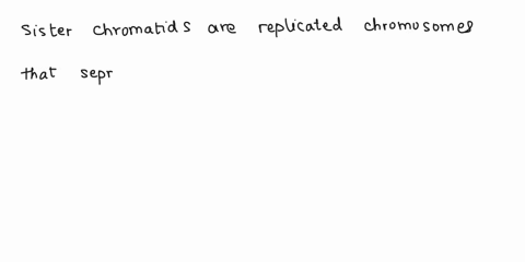 question-9-1-point-a-new-organism-is-discovered-with-total-of-10-chromosomes-in-its-nucleus-at-g1-phase-all-10-chromosomes-are-non-homologous-how-would-you-refer-to-this-genomic-organization-40424