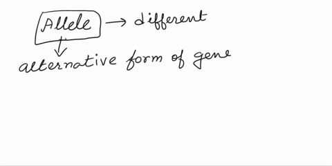 an-alternative-form-or-version-of-a-gene-is-an-a-allele-b-karyotype-c-homologous-chromosome-d-non-homologous-chromosome-70672