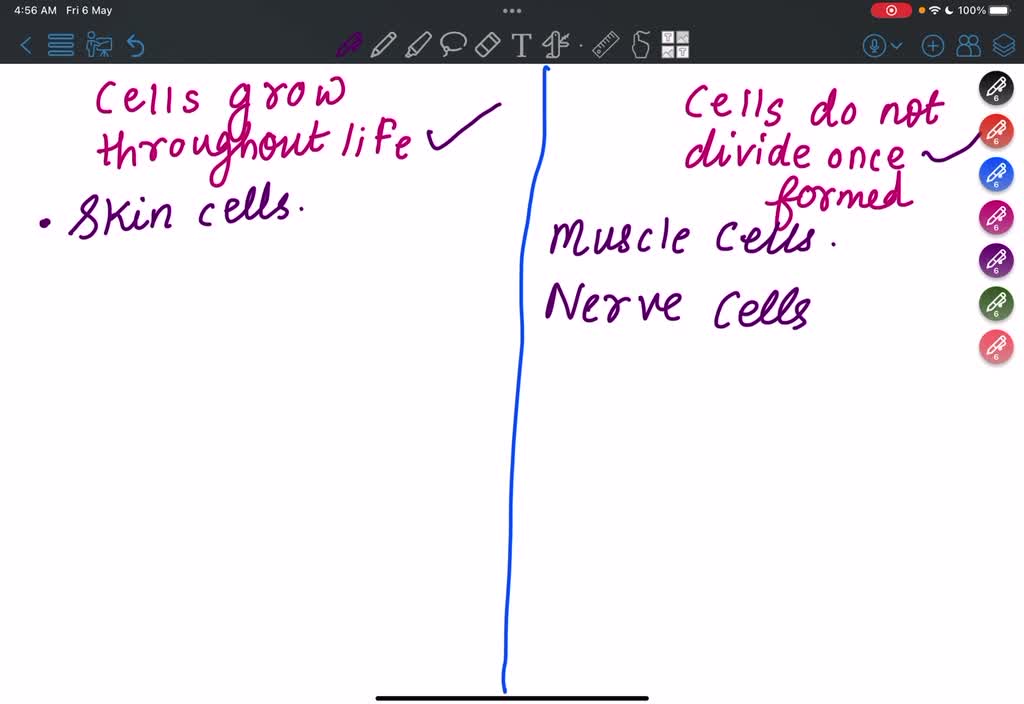 solved-humans-and-other-animals-regulate-cell-growth-and-cell-division