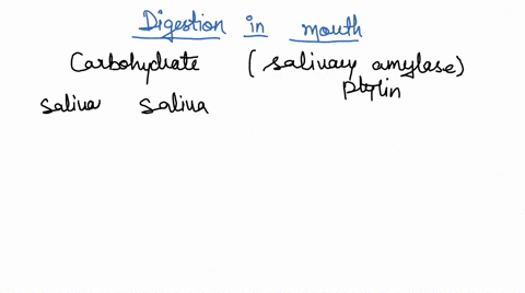 carbohydrate-digestion-begins-in-the-mouth-small-intestine-stomach-ileum-salivary-gland-the-enzyme-salivary-amylase-helps-t0-digest-proteins-complex-carbohydrates-simple-sugars-lipids-nuclei-29814