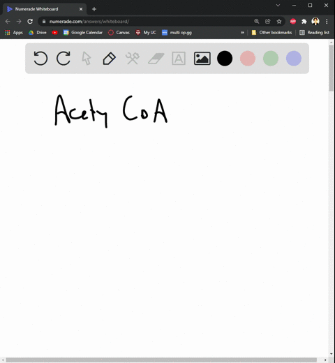 acetyl-coa-can-be-converted-to-all-of-the-following-except-______-a-ketone-bodies-b-fatty-acids-c-po-09686