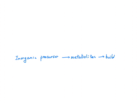 what-is-the-structural-organization-of-complex-biomolecules-45246