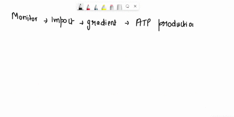 umol-what-was-this-ction-ot-nauf-0-nadpa-what-is-the-role-of-nadph-in-photosynthesis-run-in-terms-of-the-experiment-12-the-etc-is-also-the-source-of-the-hydrogen-ion-gradient-swap-the-tab-on-86852