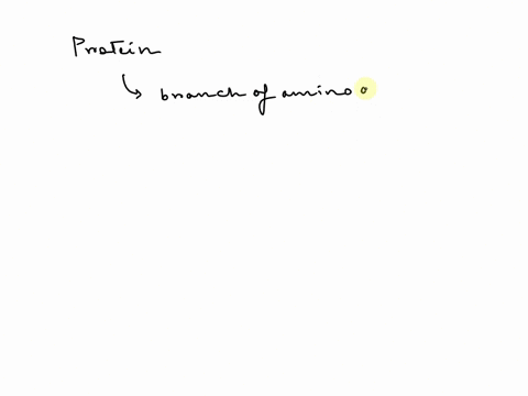 amino-acids-are-the-building-blocks-of-which-class-of-macromolecules-15329