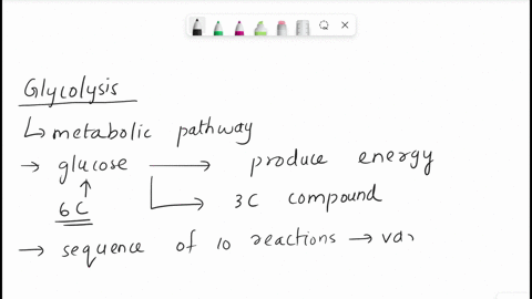 what-are-the-products-of-glycolysis-select-all-that-apply-pyruvate-amp-atp-glucose-nad-nadh-33415