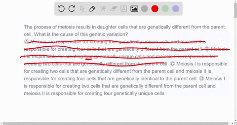 the-process-of-meiosis-results-in-daughter-cells-that-are-genetically-different-from-the-parent-cell-what-is-the-cause-of-this-genetic-variation-a-meiosis-i-is-responsible-for-creating-four-71677