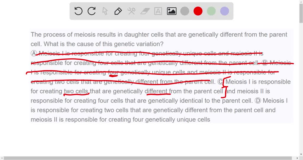 SOLVED variation among bacterial genomes is attributed mostly