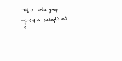 identlfy-the-structural-components-of-a-amino-add-and-understand-the-chemical-diversity-of-amlno-aclds-question-complete-the-following-structure-of-an-amino-acid-type-your-_-answers-as-atoms-53267