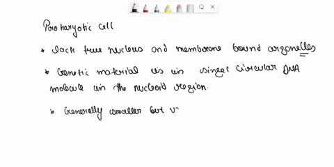 prokaryotic-cells-differ-from-eukaryotic-cells-in-that-aprokaryotic-cells-lack-a-true-nucleus-and-membrane-bound-organelles-bprokaryotic-cells-are-much-larger-than-eukaryotic-cells-cprokaryo-73925