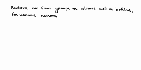 true-or-false-type-questions-1-sometimes-bacteria-cling-together-to-form-groups-2-cocci-are-spherical-bacteria-3-direct-sunlight-is-essential-for-bacteria-to-survive-4-bacteria-can-remain-do-56396