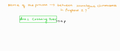 what-is-the-name-of-the-process-whereby-homologous-chromosomes-break-and-exchange-pieces-with-each-other-during-prophase-i-of-meiosis-two-words-answer-feedback-the-correct-answer-is-crossing-71564
