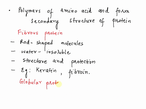 classify-the-words-or-phrases-as-descriptions-or-examples-of-fibrous-proteins-globular-proteins-or-both_-fibrous-proteins-globular-proteins-both-some-function-as-enzymes-structure-is-rod-lik-27778