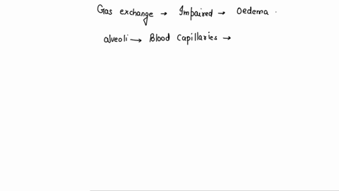 how-gas-exchange-in-the-lungs-87097