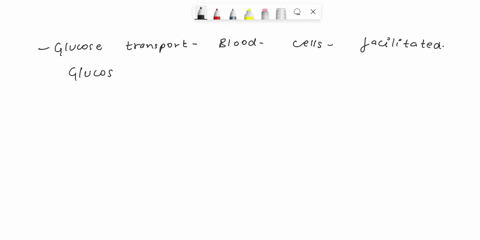 what-transport-is-used-for-glucose-and-blood-and-intestinal-cells-39639