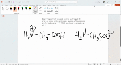 draw-the-positively-charged-neutral-and-negatively-charged-forms-for-the-amino-acid-glycine-which-sp-74058