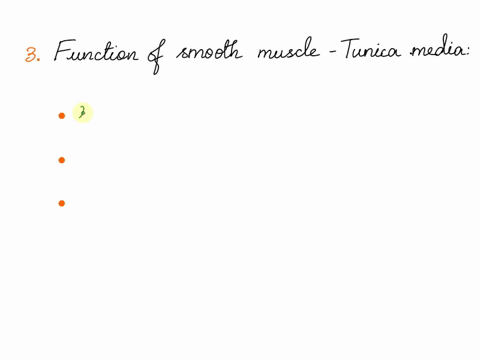 name-lab-period-1blood-vesscls-artery-cross-section-slide-vein-cross-section-slide-nerve-cross-scction-slide-1tunica-intima-with-endothelium-and-internal-elastic-lamina-2tunica-media-with-sm-76199