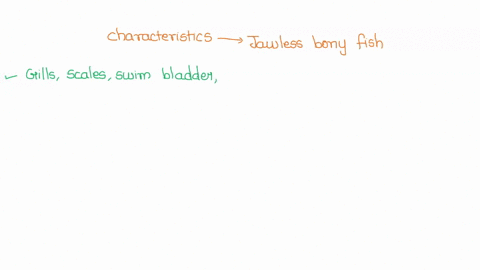 which-characteristics-do-all-bony-and-jawless-fish-have-in-common-check-all-that-apply-backbone-swim-bladder-scales-gills-bony-skeleton-dont-answer-with-virus-links-and-select-all-the-correc-42617