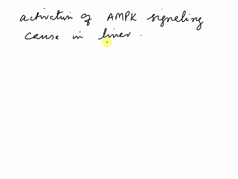 which-of-the-following-does-the-activation-of-ampk-signaling-cause-in-liver-choose-one-or-more-a-increase-in-fatty-acid-synthesis-b-reduction-of-cholesterol-synthesis-c-increase-in-glucose-u-06023