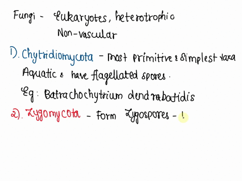 1_-name-the-five-main-fungal-taxa-and-give-characteristics-of-each-taxa-characteristics-example-of-organism-13132